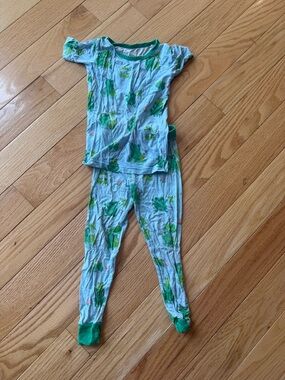 Little Sleepies Frog Pajama Set